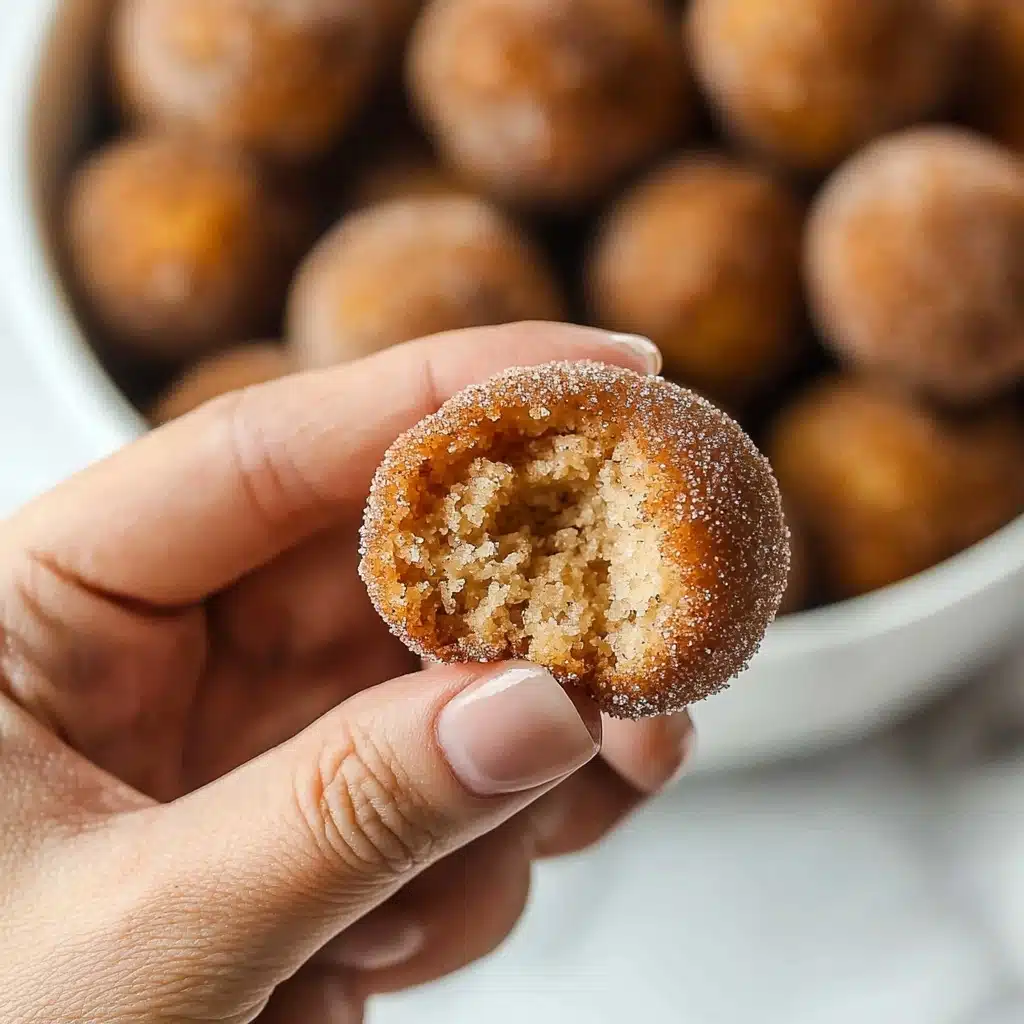 Cinnamon Sugar Donut Holes Recipe
