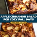 Easy Apple Cinnamon Bread Recipe