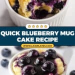 Blueberry Mug Cake Recipe