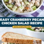 Cranberry Pecan Chicken Salad Recipe