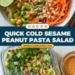 Cold Sesame Peanut Pasta Salad Recipe