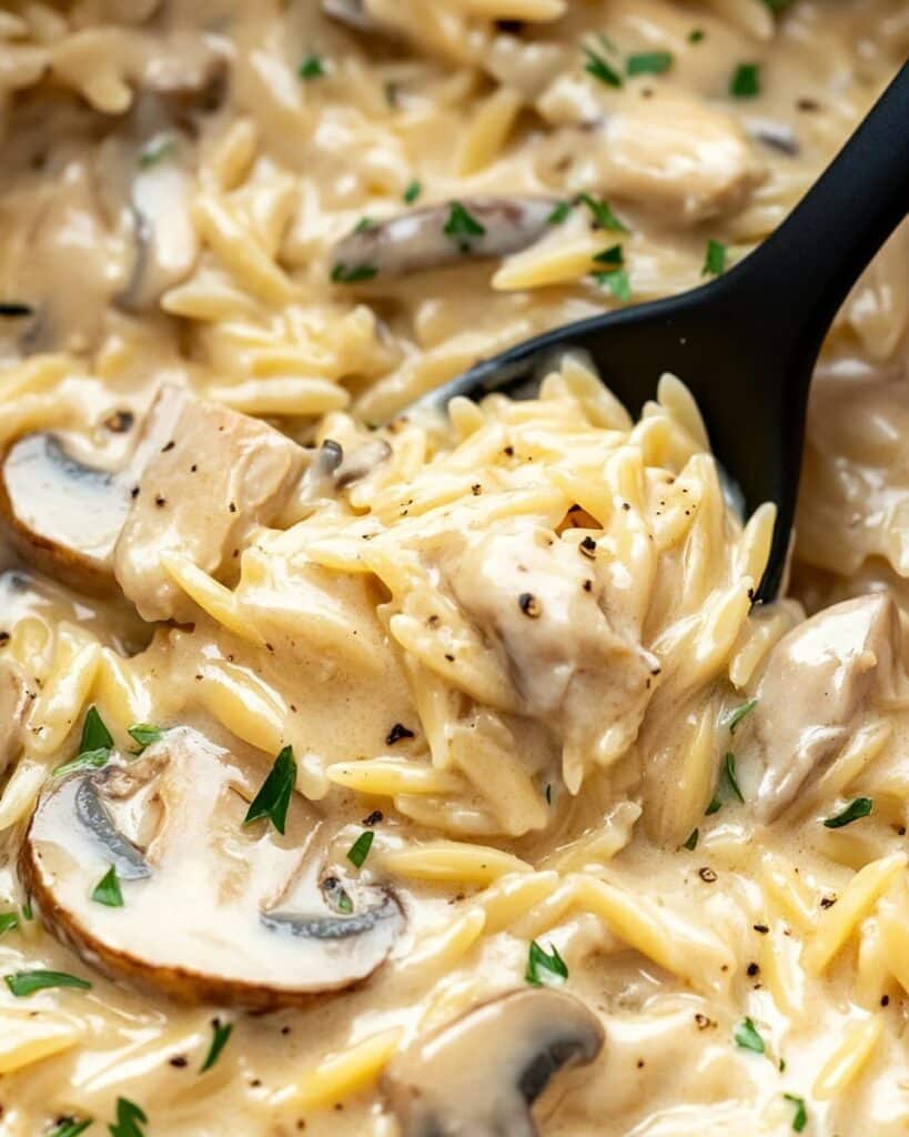 Chicken Marsala Orzo Recipe