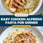 Creamy Chicken Alfredo Recipe